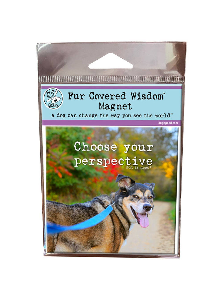 Choose Your Perspective Decorative Magnet